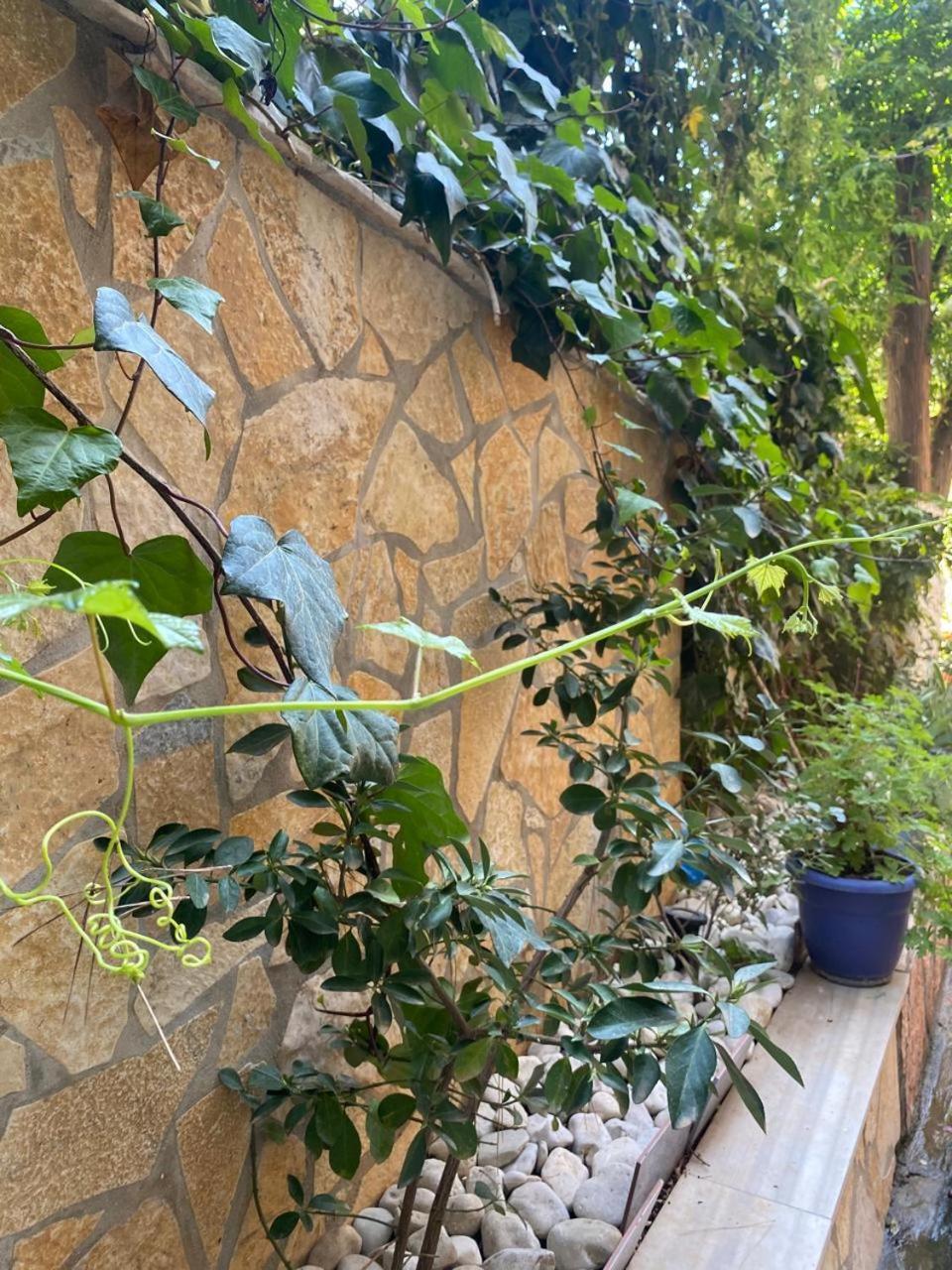 Olive Tree Apartment Sarandë Buitenkant foto